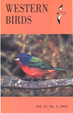 Cover image V33 (3)