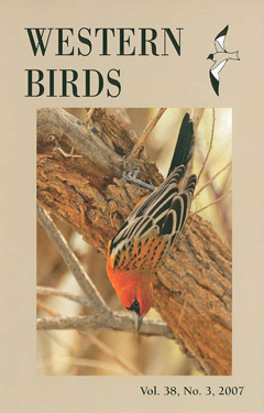 Cover image V38(3)