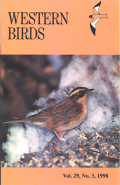 Cover image V29 (3)