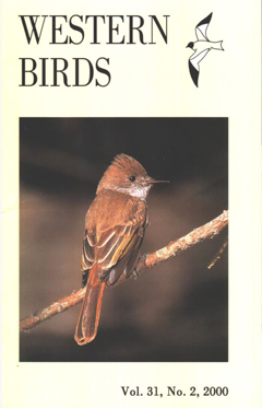 Cover image V31 (2)