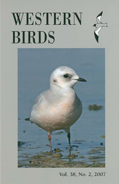 Cover image V38(2)