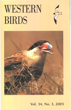 Cover image V34 (3)