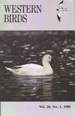 Cover image V20(1)
