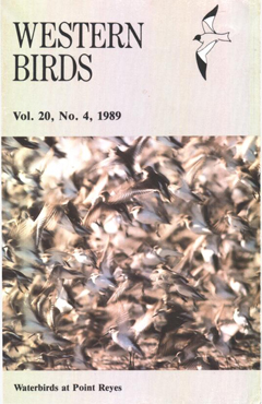 Cover image V20(4)