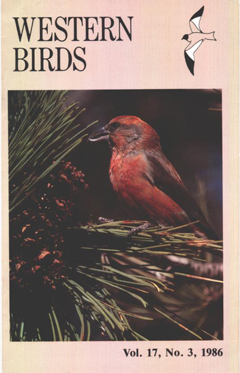 Cover image V17 (3)