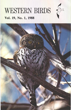Cover image V19 (1)