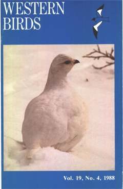 Cover image V19 (4)